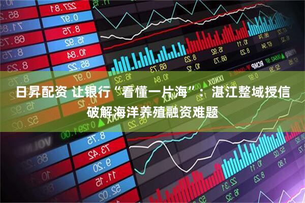 日昇配资 让银行“看懂一片海”：湛江整域授信破解海洋养殖融资难题