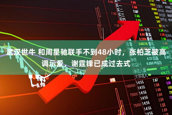 武汉世牛 和周星驰联手不到48小时，张柏芝被高调示爱，谢霆锋已成过去式