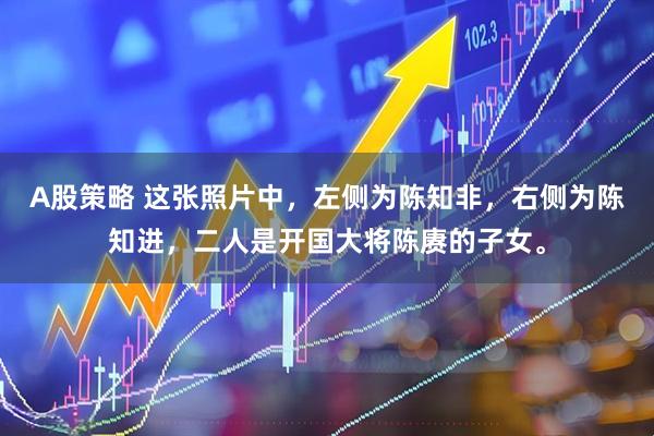 A股策略 这张照片中，左侧为陈知非，右侧为陈知进，二人是开国大将陈赓的子女。